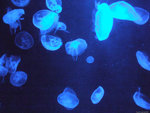 DSCF1979