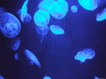 DSCF1980