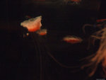 DSCF1992