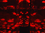 DSCF1996