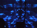DSCF1997