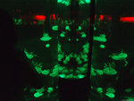 DSCF1998