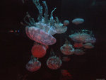 DSCF2001