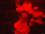 DSCF2002