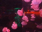 DSCF2004