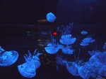 DSCF2005