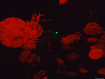 DSCF2006