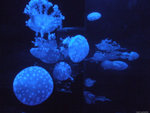 DSCF2007