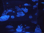 DSCF2009