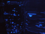 DSCF2011