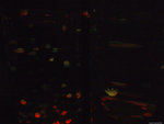 DSCF2012