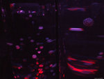 DSCF2013