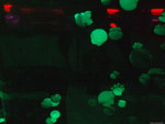 DSCF2020