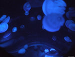 DSCF2021