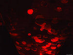 DSCF2022
