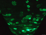 DSCF2023