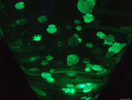 DSCF2025