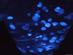DSCF2026