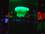 DSCF2034