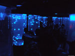 DSCF2036