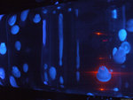 DSCF2037