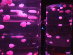 DSCF2038