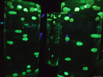 DSCF2040