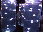 DSCF2041