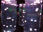 DSCF2042
