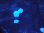 DSCF2046