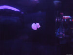 DSCF2047