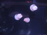 DSCF2049
