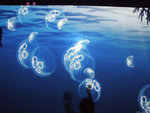 DSCF2055
