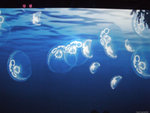 DSCF2056