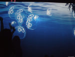 DSCF2057