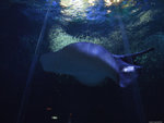 DSCF2062