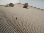 DSCF2079