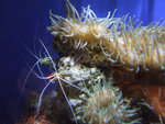 DSCF2085