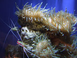 DSCF2087