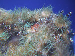 DSCF2094