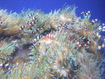 DSCF2095