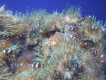 DSCF2097