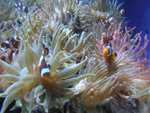 DSCF2101