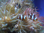 DSCF2103