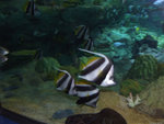 DSCF2118