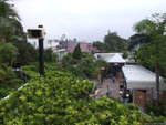 DSCF2271