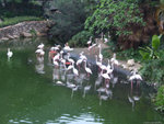 DSCF2284