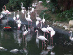DSCF2285