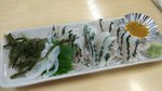 IMG_20151010_185140