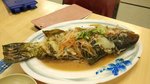 IMG_20151010_185932
